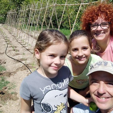 גואדלסט El Molinet Del Governador מראה חיצוני תמונה