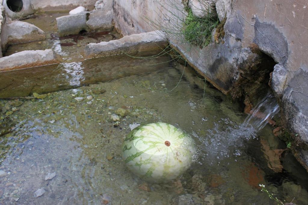גואדלסט El Molinet Del Governador מראה חיצוני תמונה